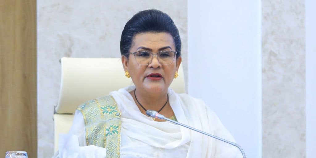 Audit Uncovers 15 Billion Birr in Off-Budget Revenue, Billions in Unresolved Debts
